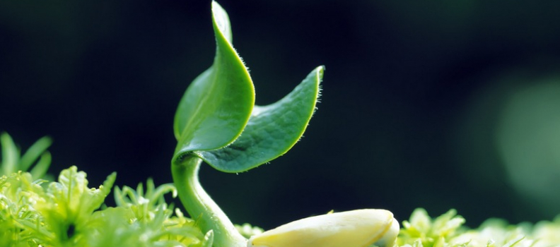 Oroscopo espresso martedì 15 maggio